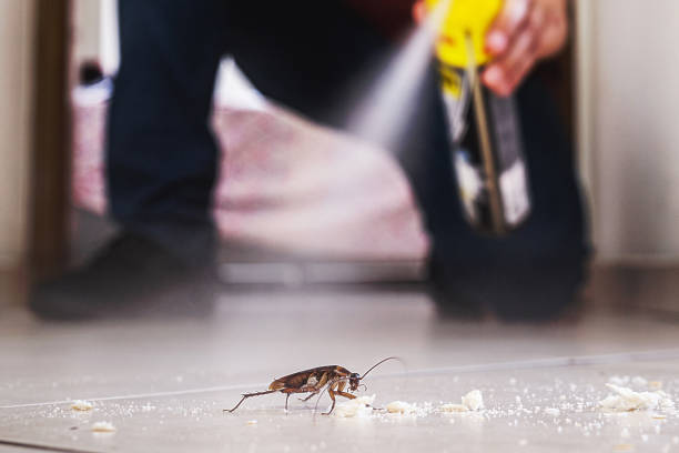 Tustin, CA Pest Control Company